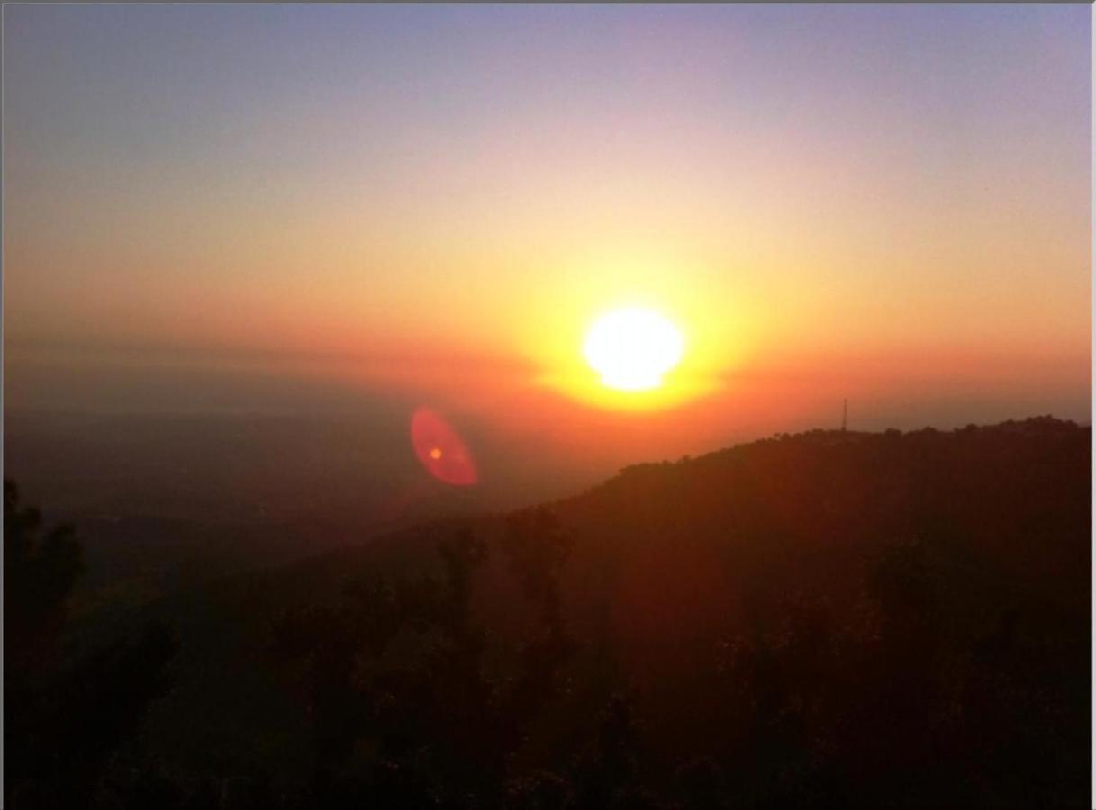 דרמסאלה The Horizon Villa South מראה חיצוני תמונה
